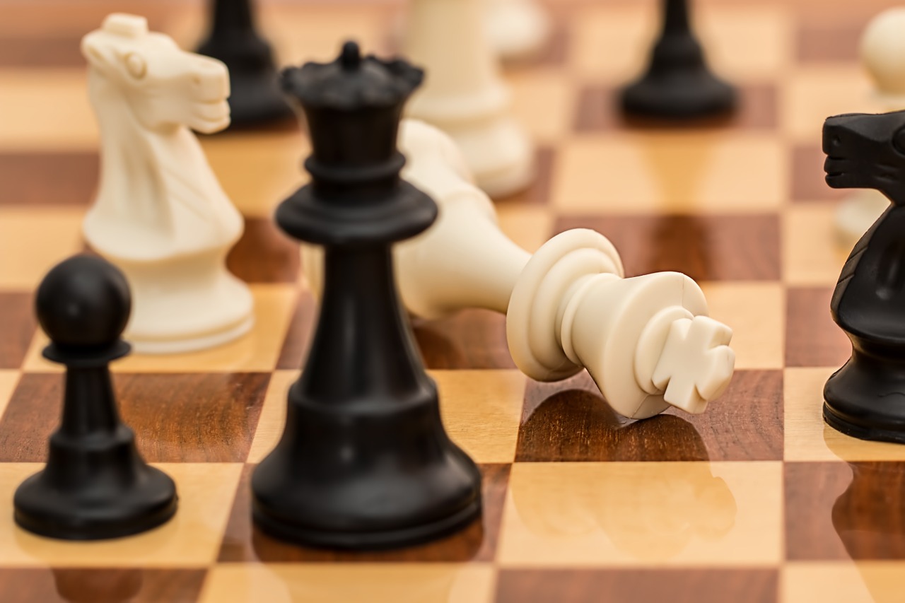 předvolební debata - šachy