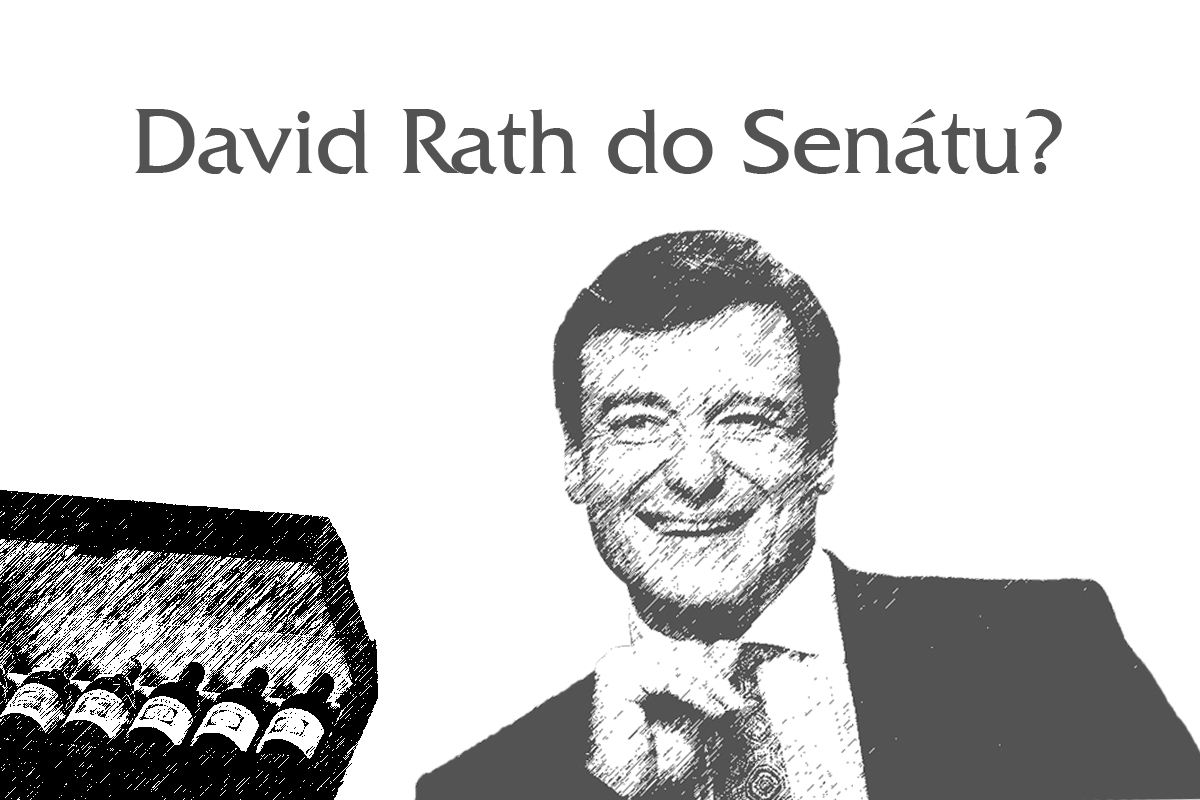 David Rath senátní volby