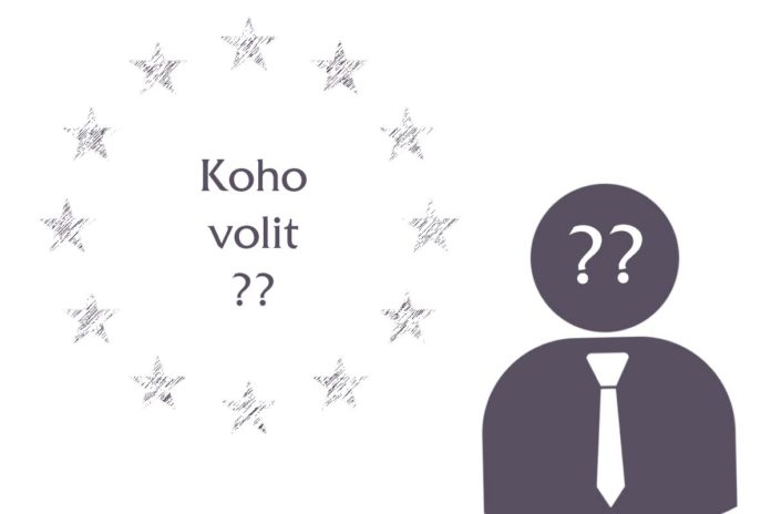 Koho volit do Evropského parlamentu