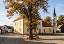 Kolik bere starosta a jak se počítají odměny zastupitelů? Budete překvapení Budova obecního úřadu malé obce na návsi s lípou a kostelem